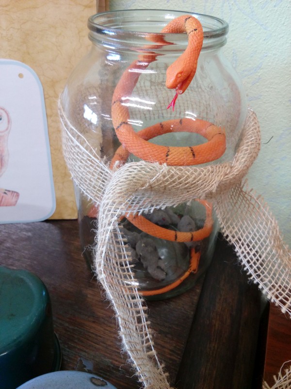 Čarodějnický rej (14)