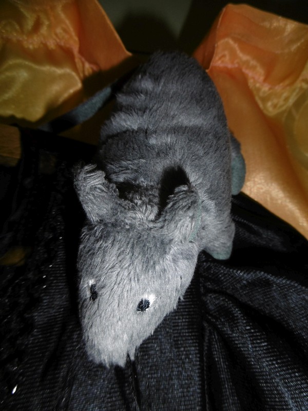 Čarodějnický rej (22)