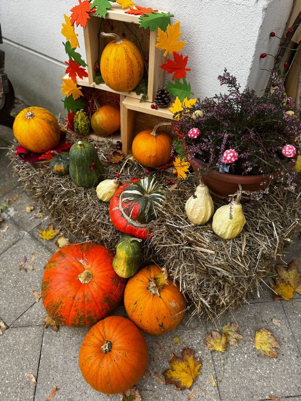 Co se u nás dějě? Podzimní tvoření, výlety i sladké zážitky (24)