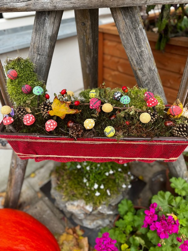 Co se u nás dějě? Podzimní tvoření, výlety i sladké zážitky (27)