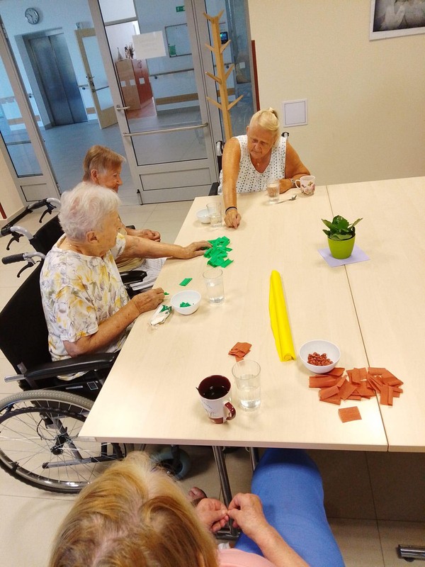 Odpolední posezení u ledové kávy (3)