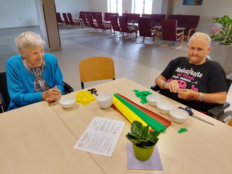 Odpolední posezení u ledové kávy (5)