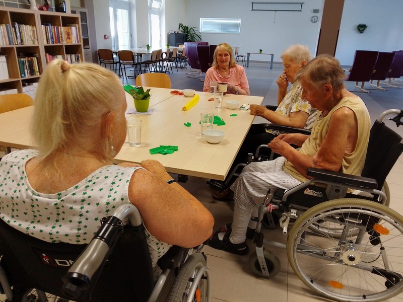 Odpolední posezení u ledové kávy (8)