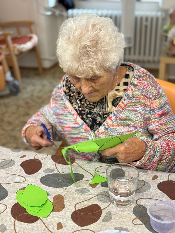 Léto plné zážitků (5)