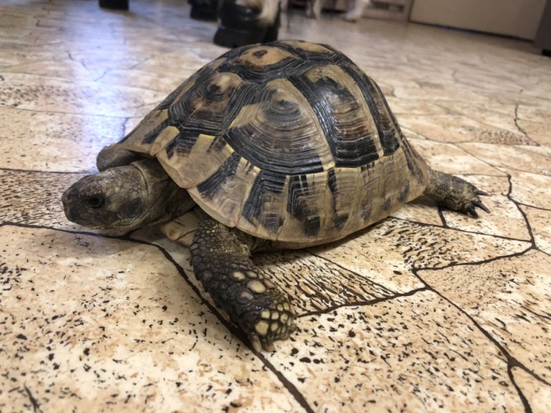 Emil navštívil i CDS (2) Emil navštívil i CDS (2)