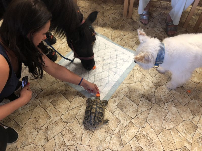 Emil navštívil i CDS (4) Emil navštívil i CDS (4)