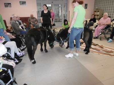 Koník Emil pomáhá (4) Koník Emil pomáhá (4)