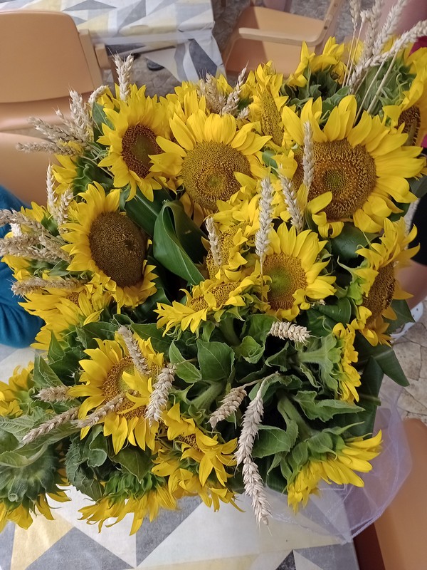 Léto plné zážitků (14)