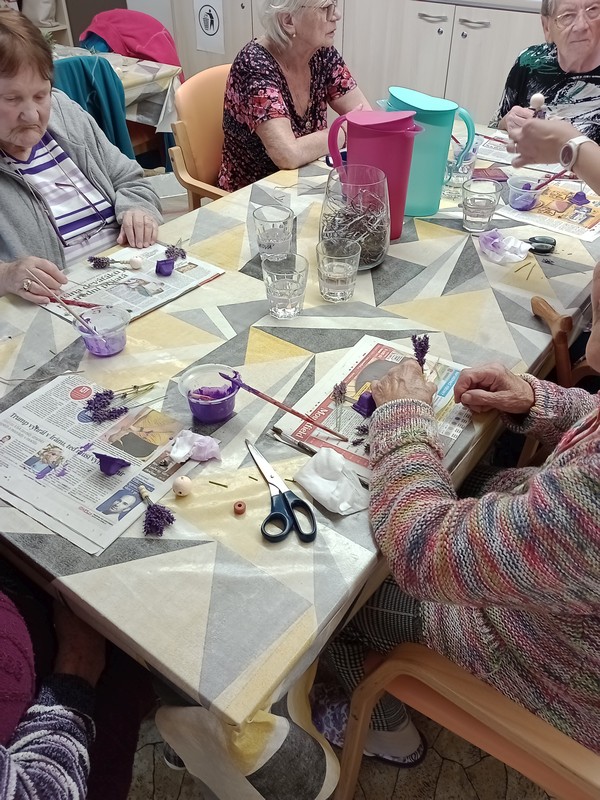 Léto plné zážitků (5)