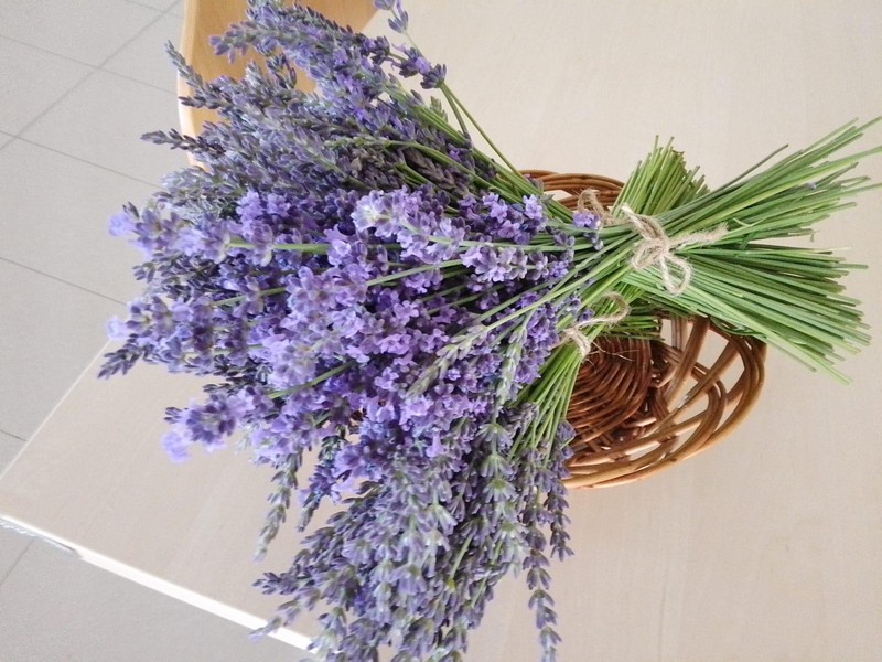 Levandulové dekorace (2)