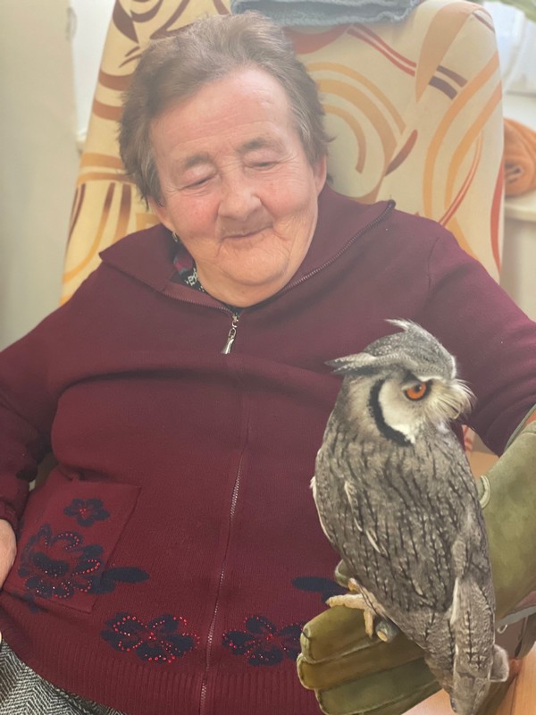 Poznávejme zvířata (3)