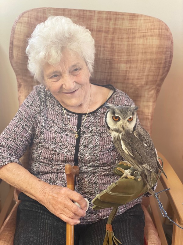 Poznávejme zvířata (4)