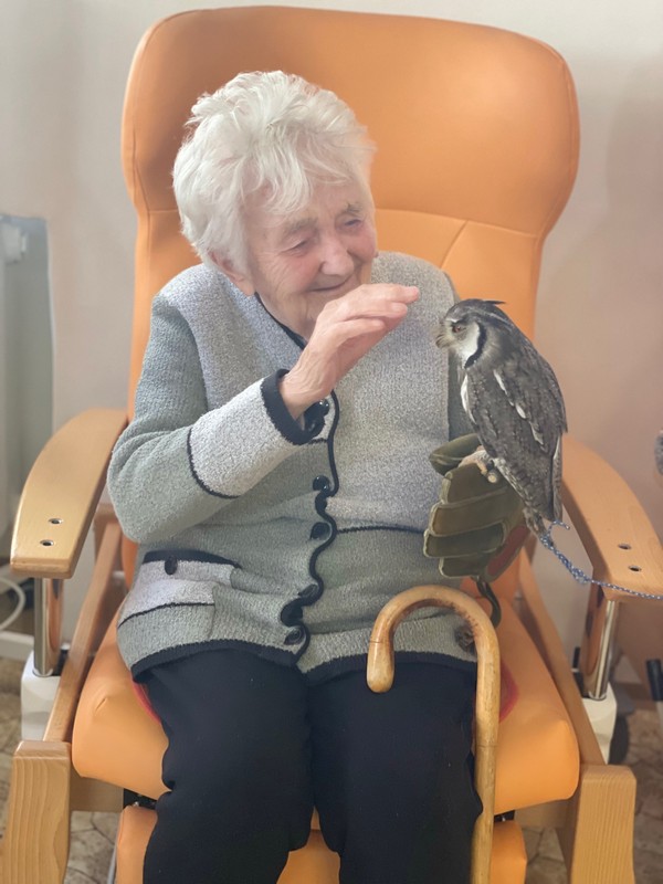 Poznávejme zvířata (7)