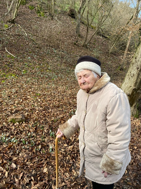 Probouzíme jaro (1)