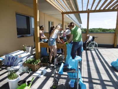 Sázení do mobilních zahrádek (2) Sázení do mobilních zahrádek (2)