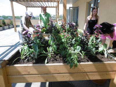 Sázení do mobilních zahrádek (4) Sázení do mobilních zahrádek (4)