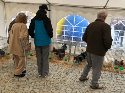 Velikonoce 2019 (2) Velikonoce 2019 (2)