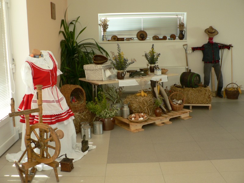 Zahradní slavnost (3)