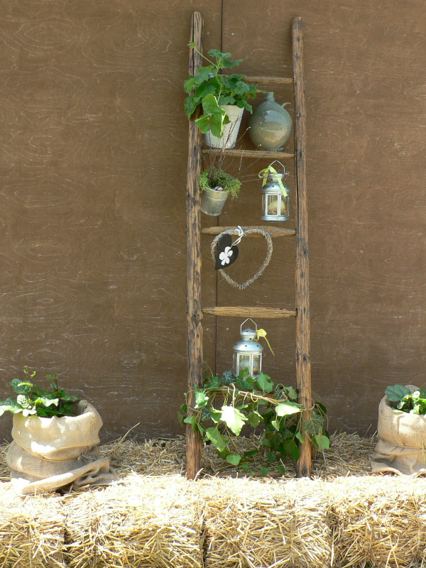 Zahradní slavnost (8)