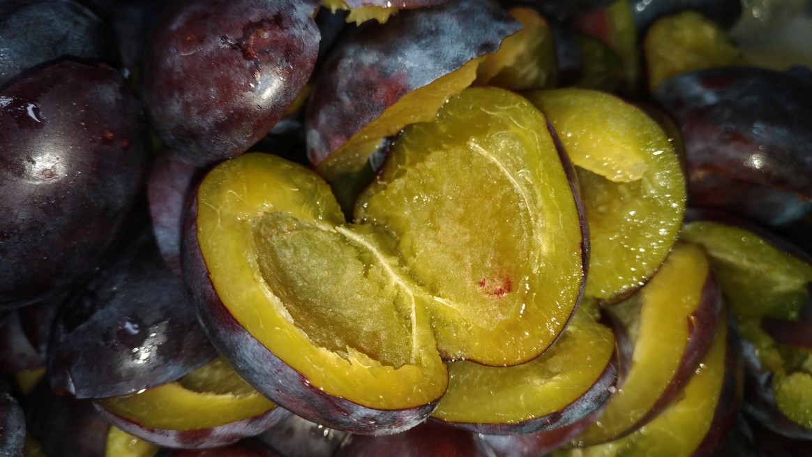 Září v Centru denních služeb (3)