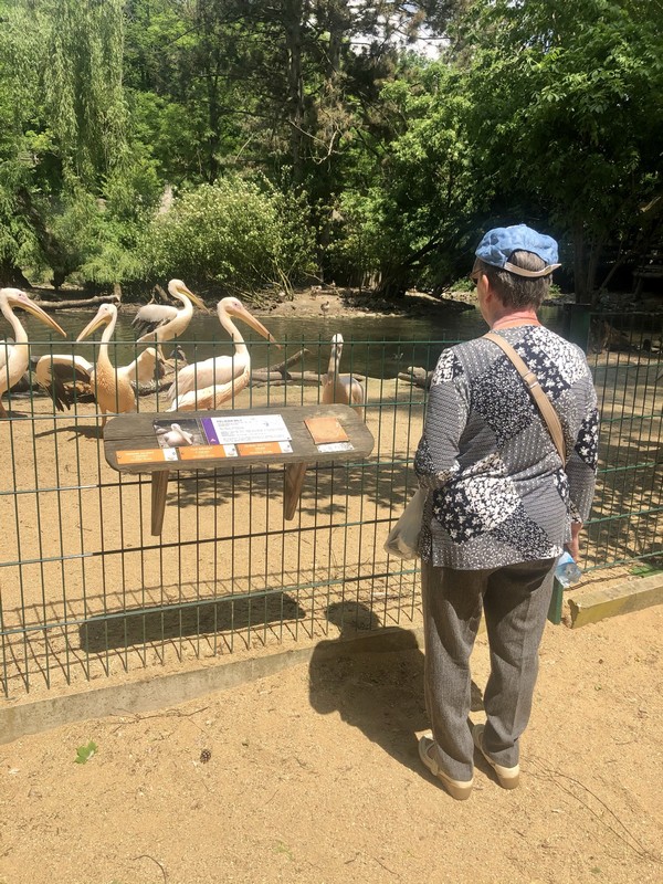 ZOO Jihlava - obrázek 12