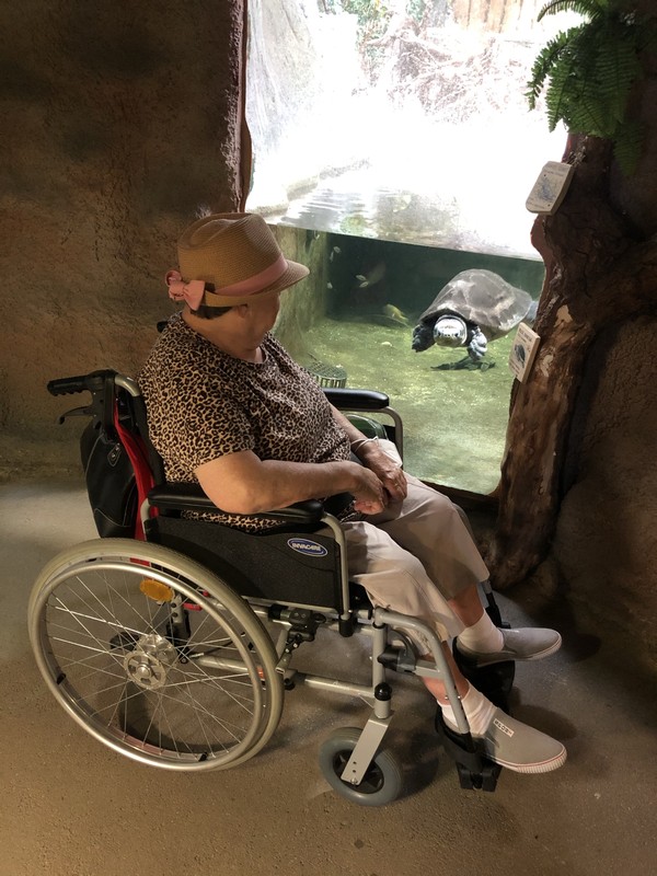 ZOO Jihlava - obrázek 7