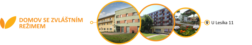 Domov se zvláštním režimem Domov se zvláštním režimem, U Lesíka 11